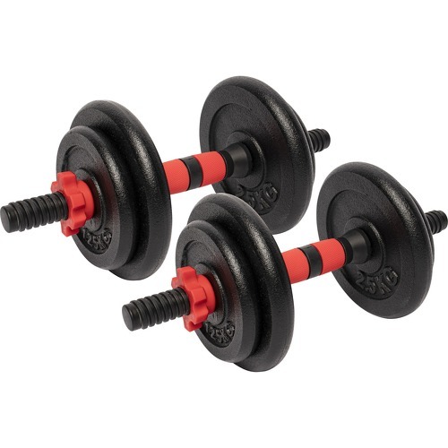 Sets D'Haltères 15 ou 25kg avec Disques Fonte 25 mm