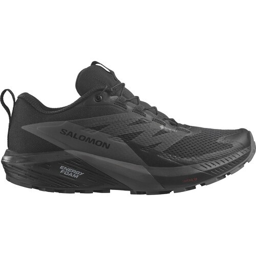 SALOMON - Sense Ride 5 GTX W