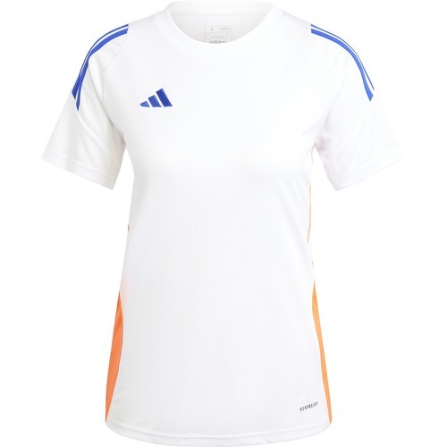 Maglia Adidas Tiro 24