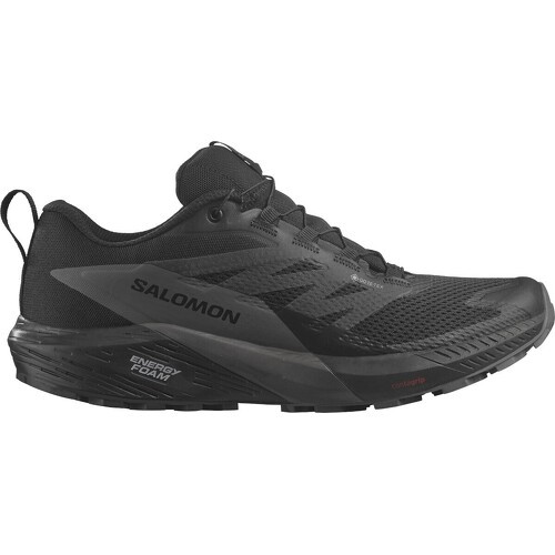 SALOMON - SENSE RIDE 5 GTX Grise / Noire AH 2023