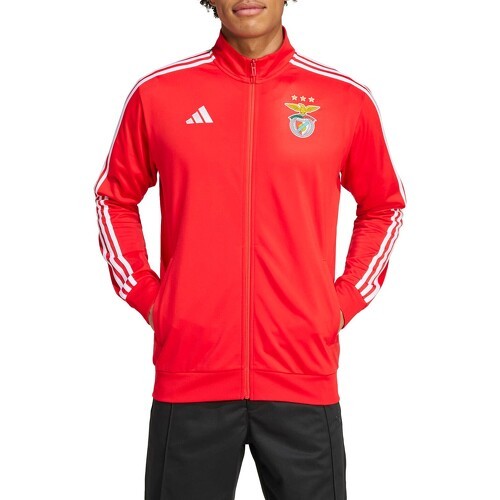 adidas Performance - Veste de survêtement Benfica DNA