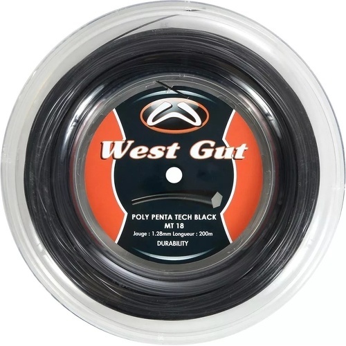 WEST GUT - Bobine Poly Penta Black MT18 200m