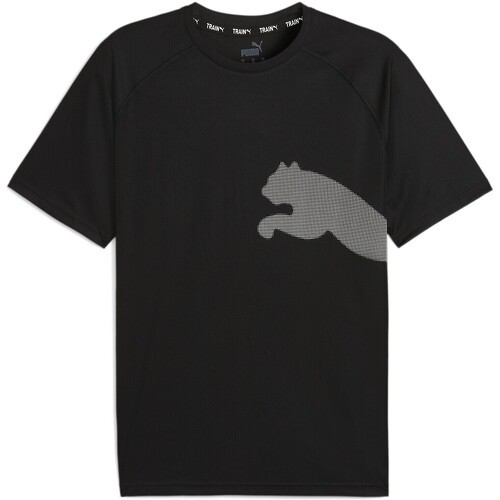 T-Shirt De Training Train All Day Big Cat