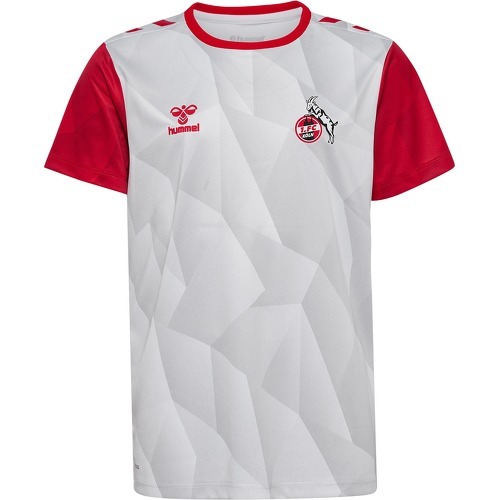 HUMMEL - 1. FC Köln Prematch shirt 2024/2025