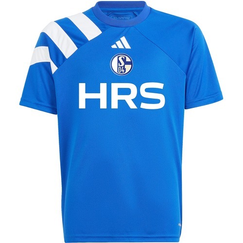 adidas - FC Schalke 04 Prematch shirt 2024/2025