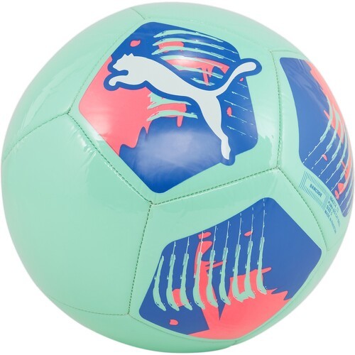 Ballon de football Big Cat