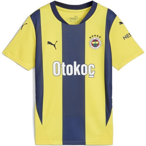 Fenerbahce Istanbul Maillot Domicile 2024/2025