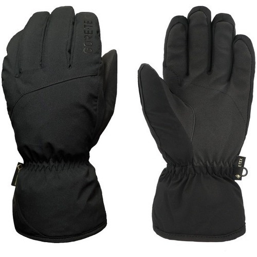 Gants de ski Boaz Pro GTX