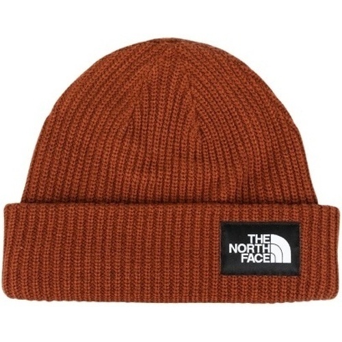 Salty Dog Lined Beanie