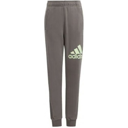 adidas Sportswear - Pantalon en coton Essentials Regular Fit Big Logo