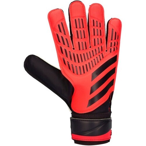 adidas Ace Trans Pro Gants de gardien de foot Colizey