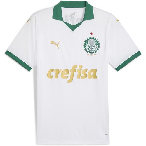 Maillot Away 2024 Palmeiras