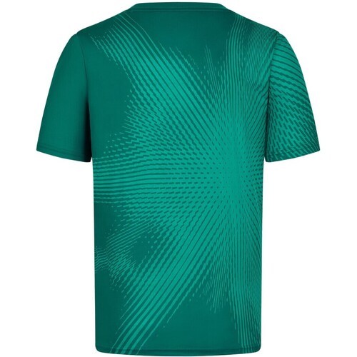 ASTON MARTIN F1 TEAM - T-shirt Burst Active de l'équipe Aston Martin F1 Officiel Vert Homme/Unisexe