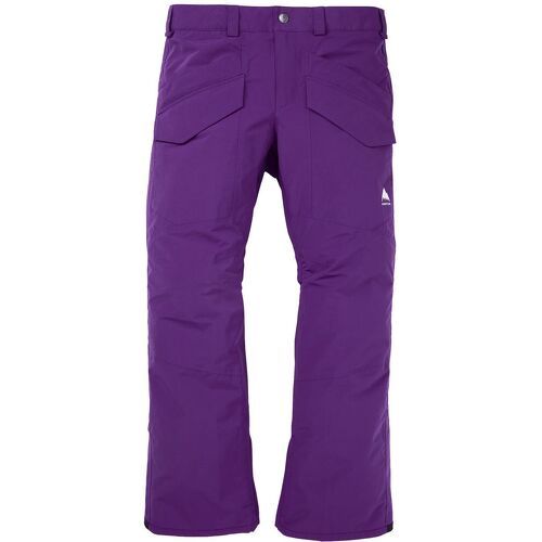 Pantalon De Ski / Snow Covert Insulated 2.0 Imperial Purple Homme