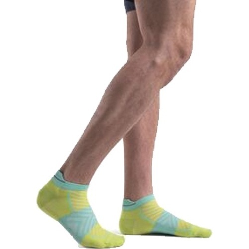 ICEBREAKER - Chaussettes merino micro run+ ultralight