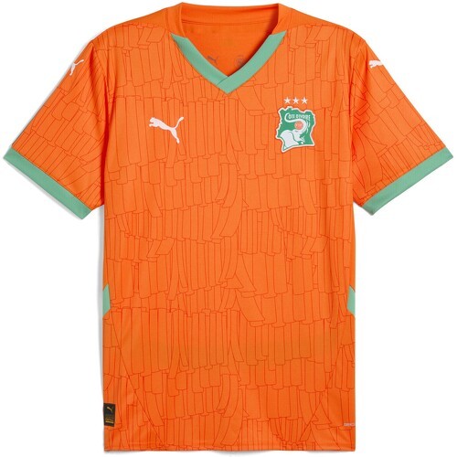 Maillot Côte d’Ivoire 2025 Domicile Homme