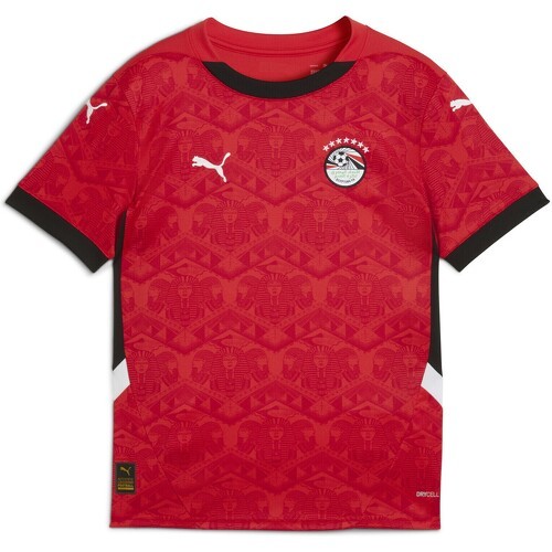 Maillot Égypte 2025 Domicile Enfant et Adolescent