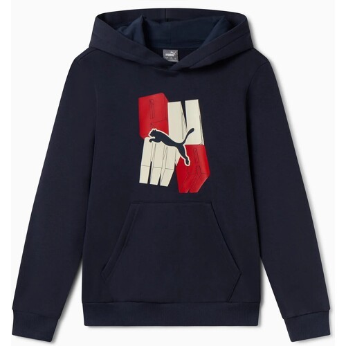 FELPA ESS+ GRAPHIC HOODIE