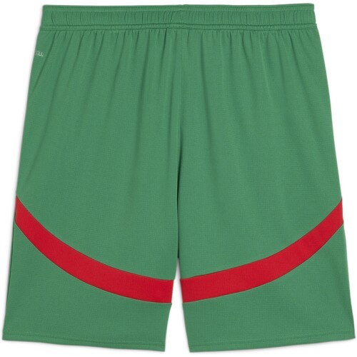 Shorts de match Maroc 2024