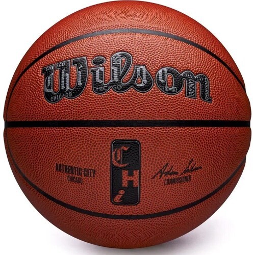 WILSON - Ballon de Basketball NBA Authentic City Chicago T7