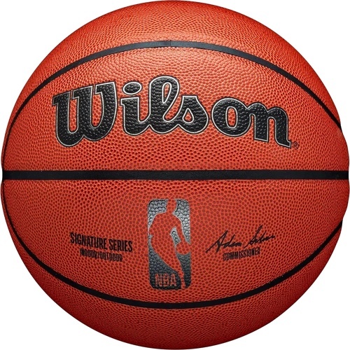 NBA Signature Series Indoor-Outdoor Ball