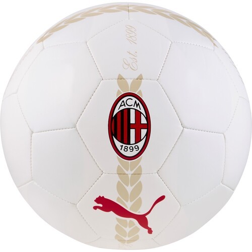 Ballon de football d’avant-match AC Milan 24/25