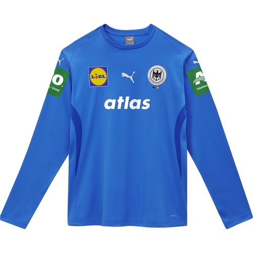 PUMA - DHB Trikot Goalkeepper 2025 blau