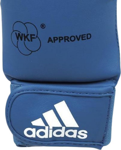 adidas Performance-Mitt Original - Gants de boxe-3