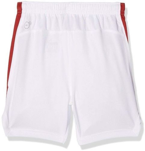 short de foot puma