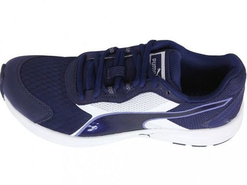 chaussure puma descendant v3