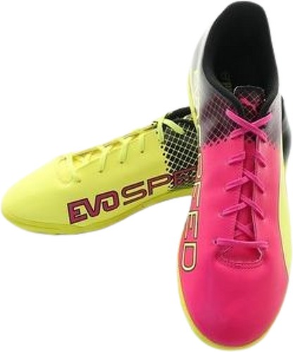 puma evospeed 5