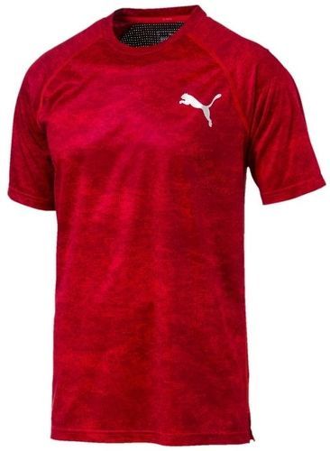PUMA-Vent Graphic Homme Tee-Shirt Entrainement Rouge Puma-image-1
