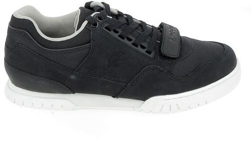 missouri lacoste noir