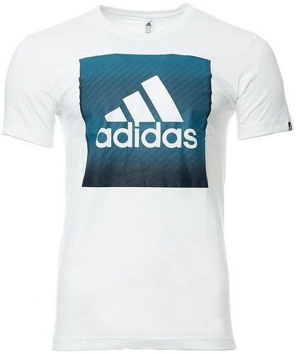 adidas-Tee-shirt Blanc Homme Adidas QQr Faded Box-image-1