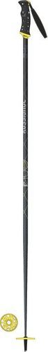 ROSSIGNOL-Batons De Ski P160 Triax Vas Grip Noir Rossignol-image-1