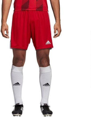 adidas Performance-Short Tastigo 19-2