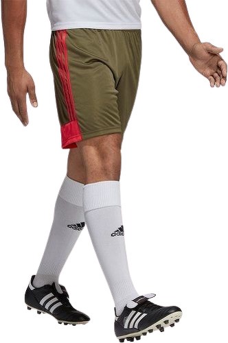 adidas Performance-Short Tastigo 19-2