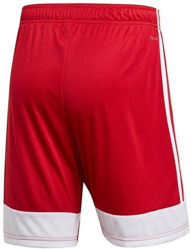 adidas Performance-Short Tastigo 19-1