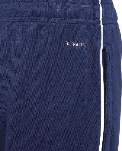 adidas Performance-Training Pants Core 18-2