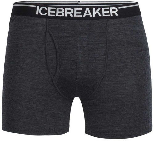 ICEBREAKER-Icebreaker M Anatomica Boxers wFly-image-1