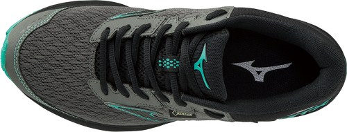 MIZUNO-Wave Rider 22 Gore-Tex-2