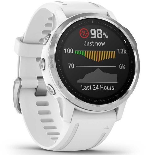 GARMIN-Fenix 6S-2