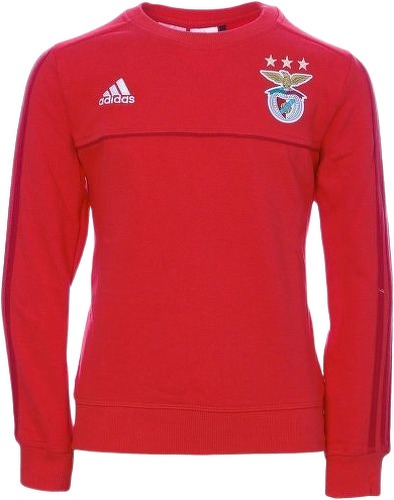 Collection Officielle Ballon de Football Benfica Lisbonne T 5 