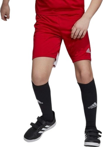 adidas Performance-Short Tastigo 19-2