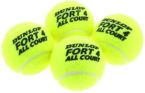DUNLOP-Fort All Court (x4) - Balles de tennis-3