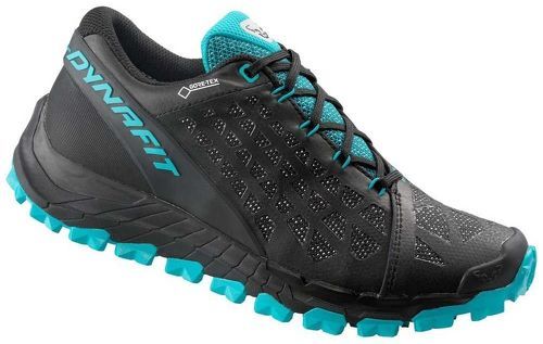 DYNAFIT-Trailbreaker Evo Goretex - Chaussures de trail-image-1