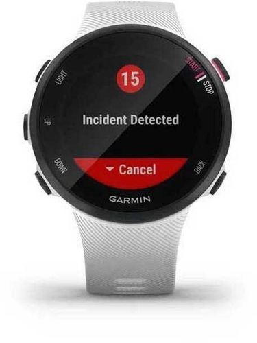 GARMIN-Forerunner 45S-3