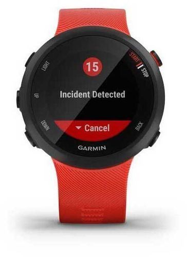 GARMIN-Forerunner 45-3