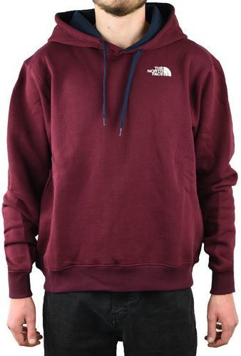 THE NORTH FACE-The North Face Drew Peak Hoodie-image-1
