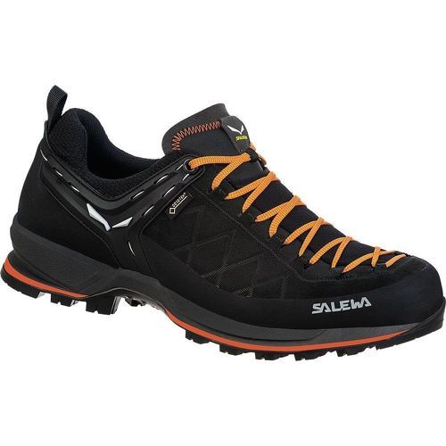 SALEWA-Mtn Trainer 2 Gore-Tex-2